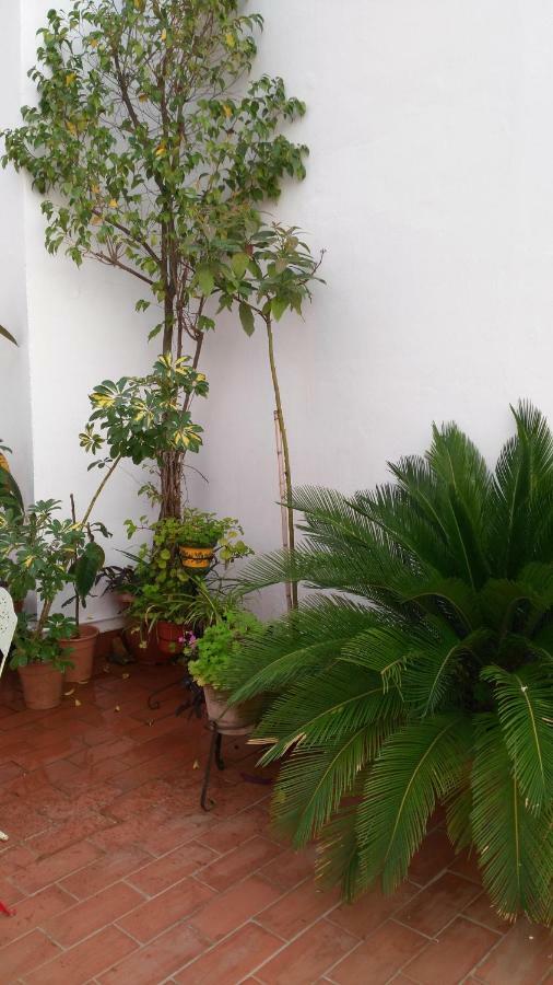 Patios Con Encanto Córdova Exterior foto